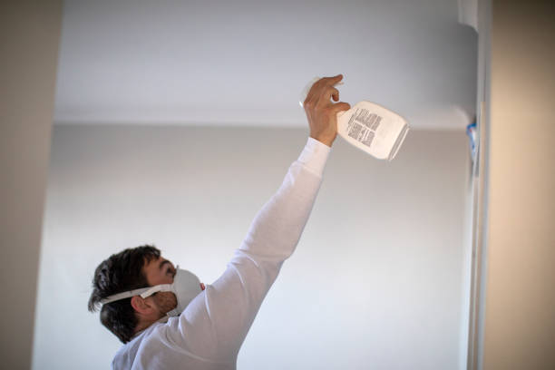 Best Mold Damage Repair  in Half Moon, NC