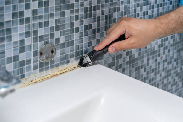 Best Mold Remediation Experts  in Half Moon, NC